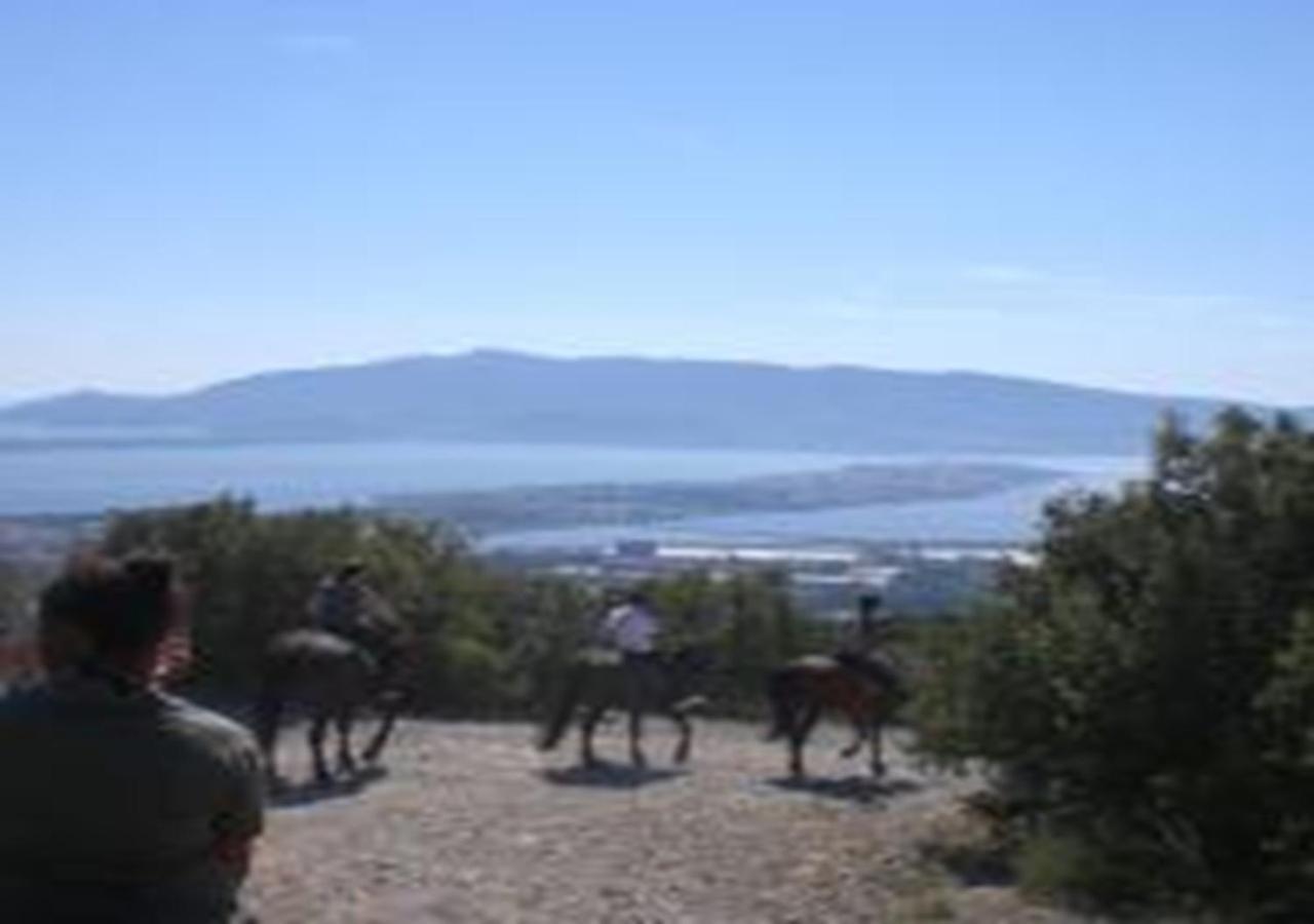 App - Il Fenicottero Con Parcheggio Gratuito Ad Orbetello Villa Exteriör bild