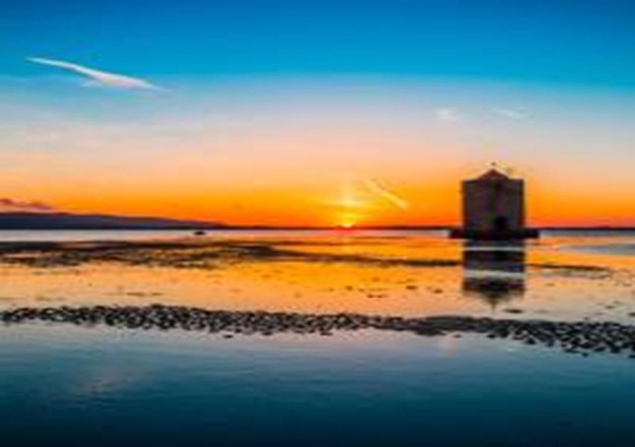 App - Il Fenicottero Con Parcheggio Gratuito Ad Orbetello Villa Exteriör bild