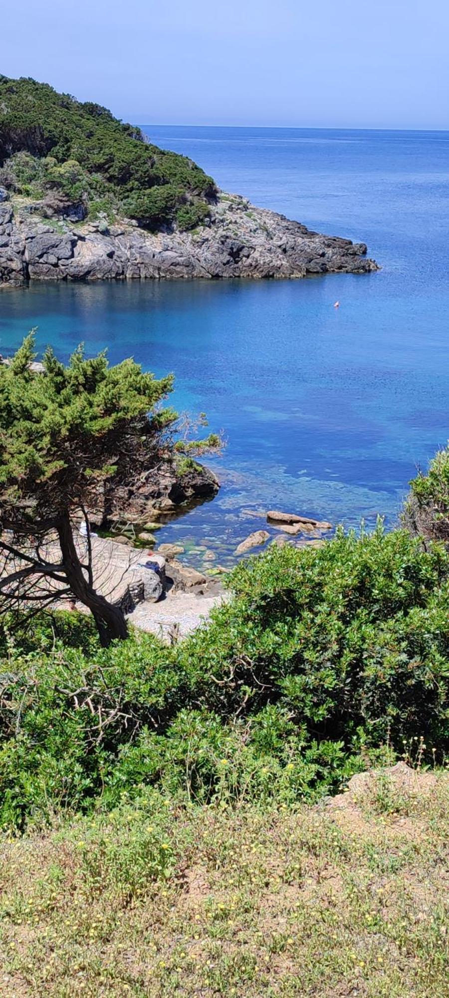 App - Il Fenicottero Con Parcheggio Gratuito Ad Orbetello Villa Exteriör bild
